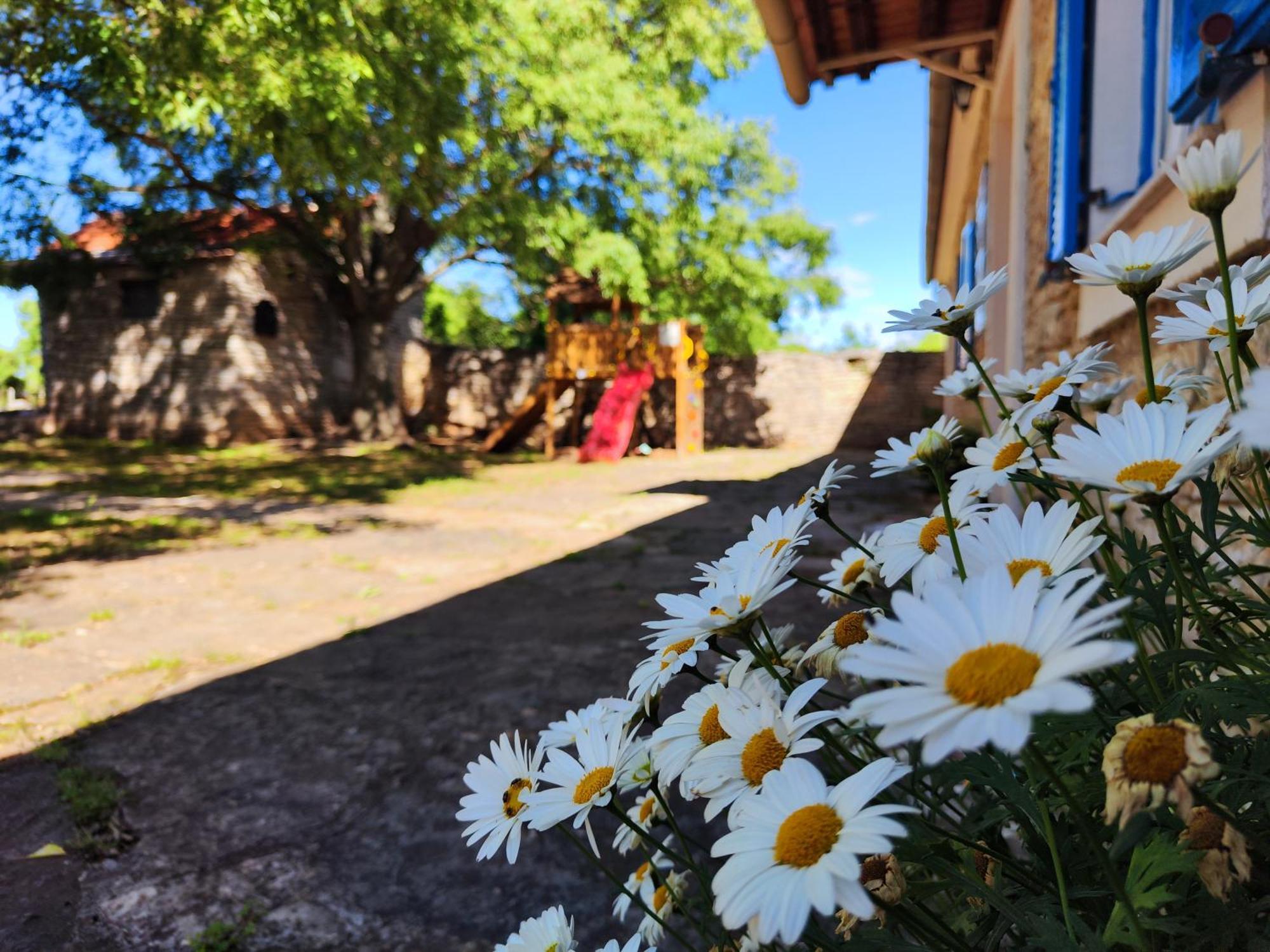 Kuca Dida Jure Pridraga Exterior foto