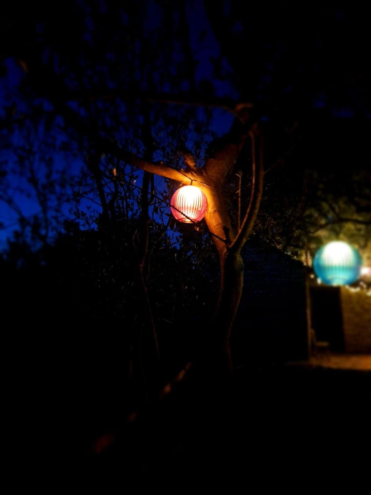 Kuca Dida Jure Pridraga Exterior foto